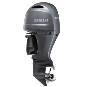 YAMAHA F175