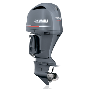 YAMAHA F300